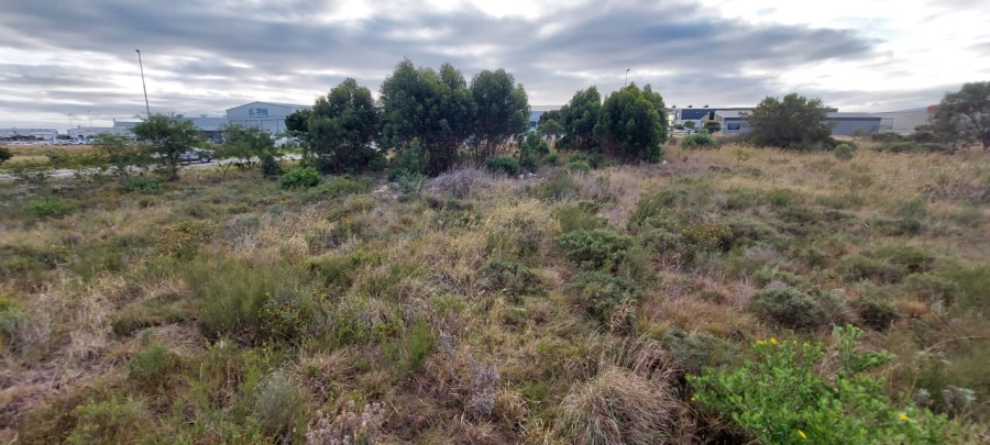  Bedroom Property for Sale in Fountains Estate Eastern Cape